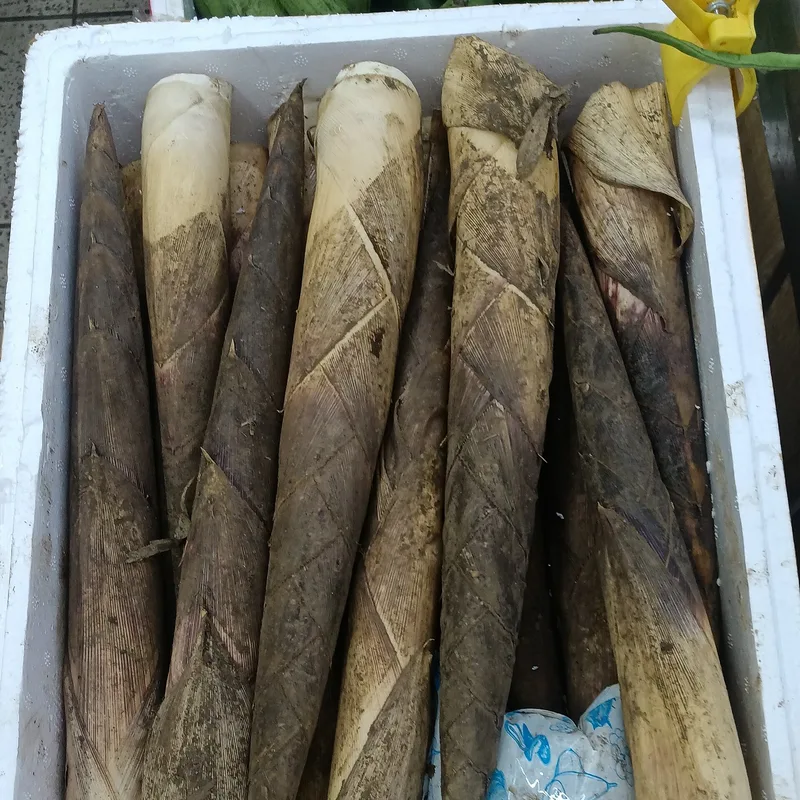 Tama Ko Achar — Bamboo Shoot 400g