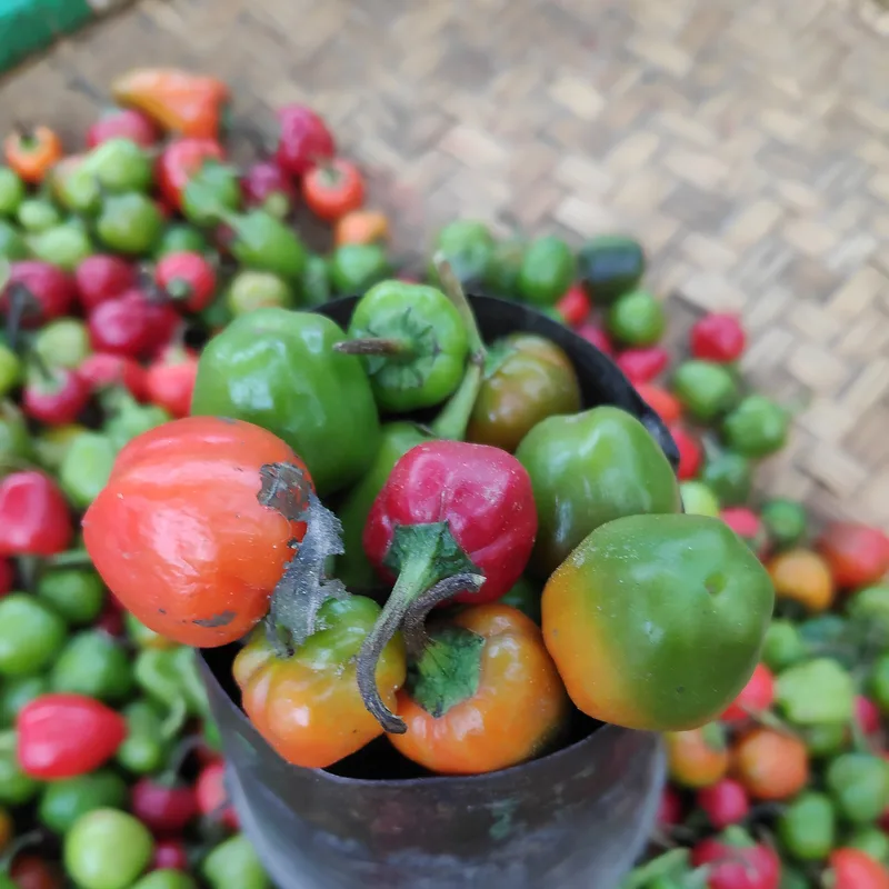 Chilli Garlic Paste Achar — 300g