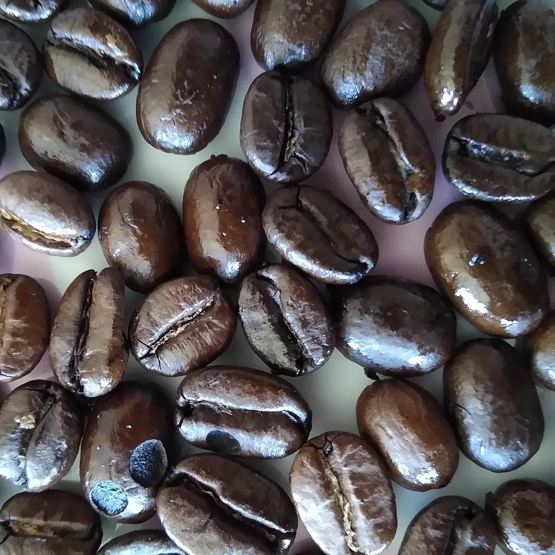 Single Origin Sindhupalchok — 250g