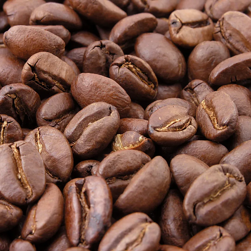 Cold Brew Coarse Grind — 500g